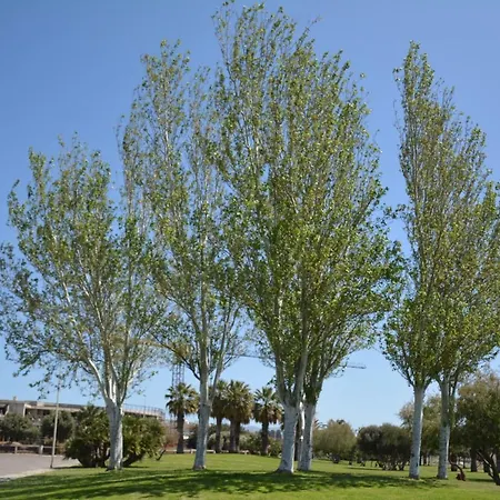 Giardini E Mare 4* 콰르투 산텔레나