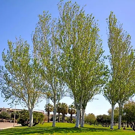 Giardini E Mare Oda ve Kahvaltı 3*