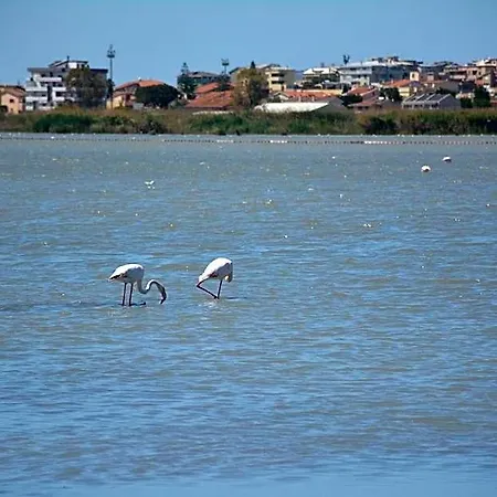 Giardini E Mare Quartu SantʼElena