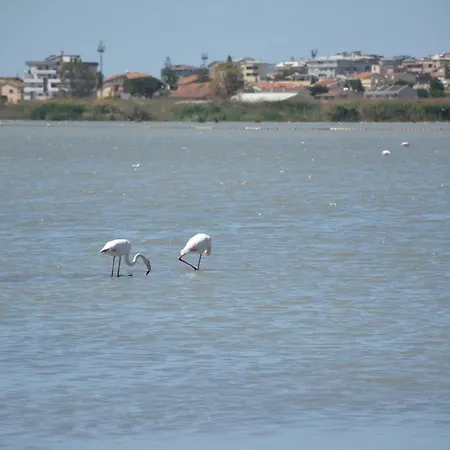 Giardini E Mare לינה וארוחת בוקר 4*