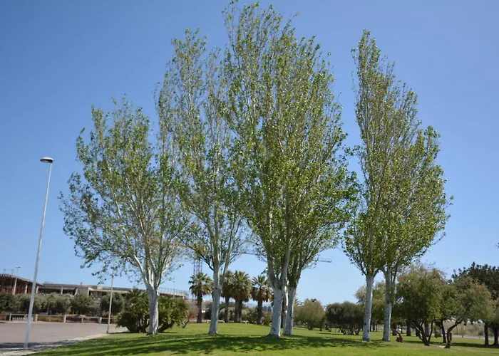 Giardini E Mare 4* Quartu SantʼElena