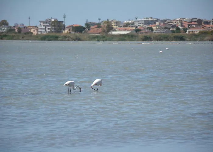 Giardini E Mare Oda ve Kahvaltı 4*